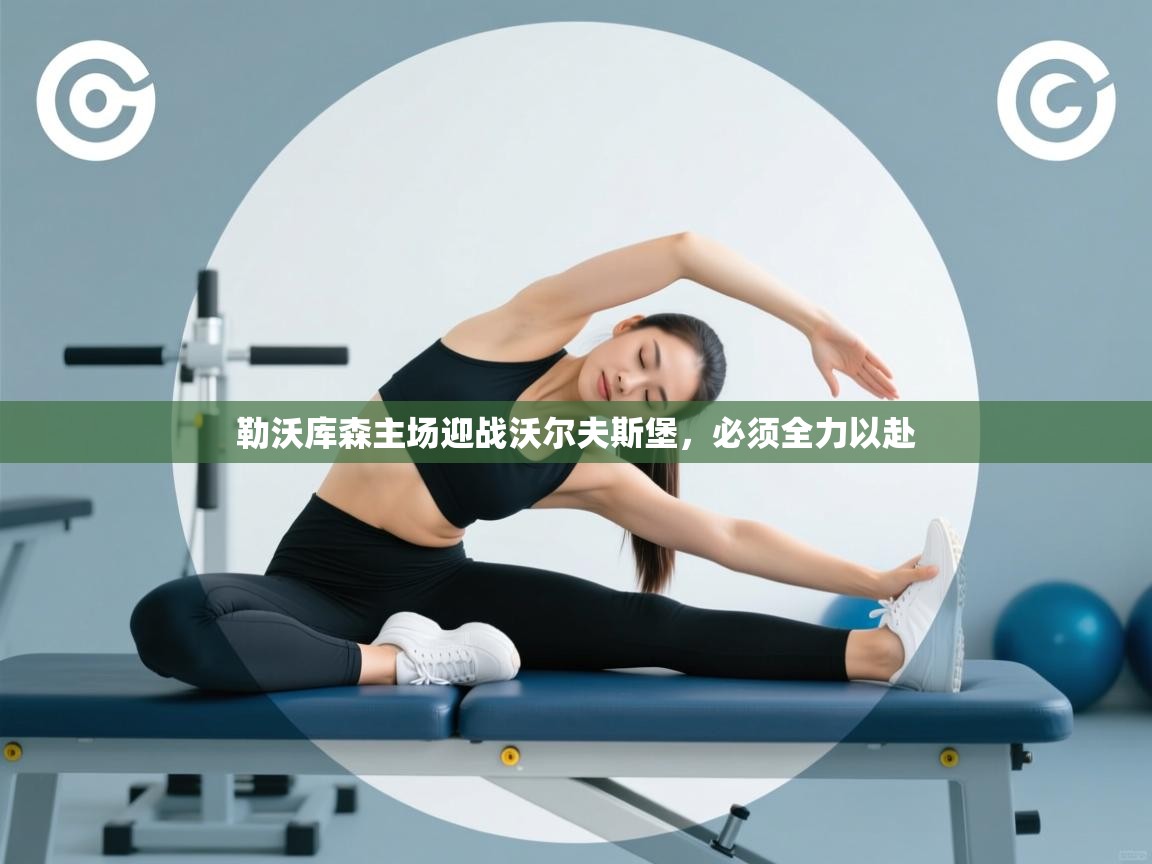 勒沃库森主场迎战沃尔夫斯堡，必须全力以赴  第2张