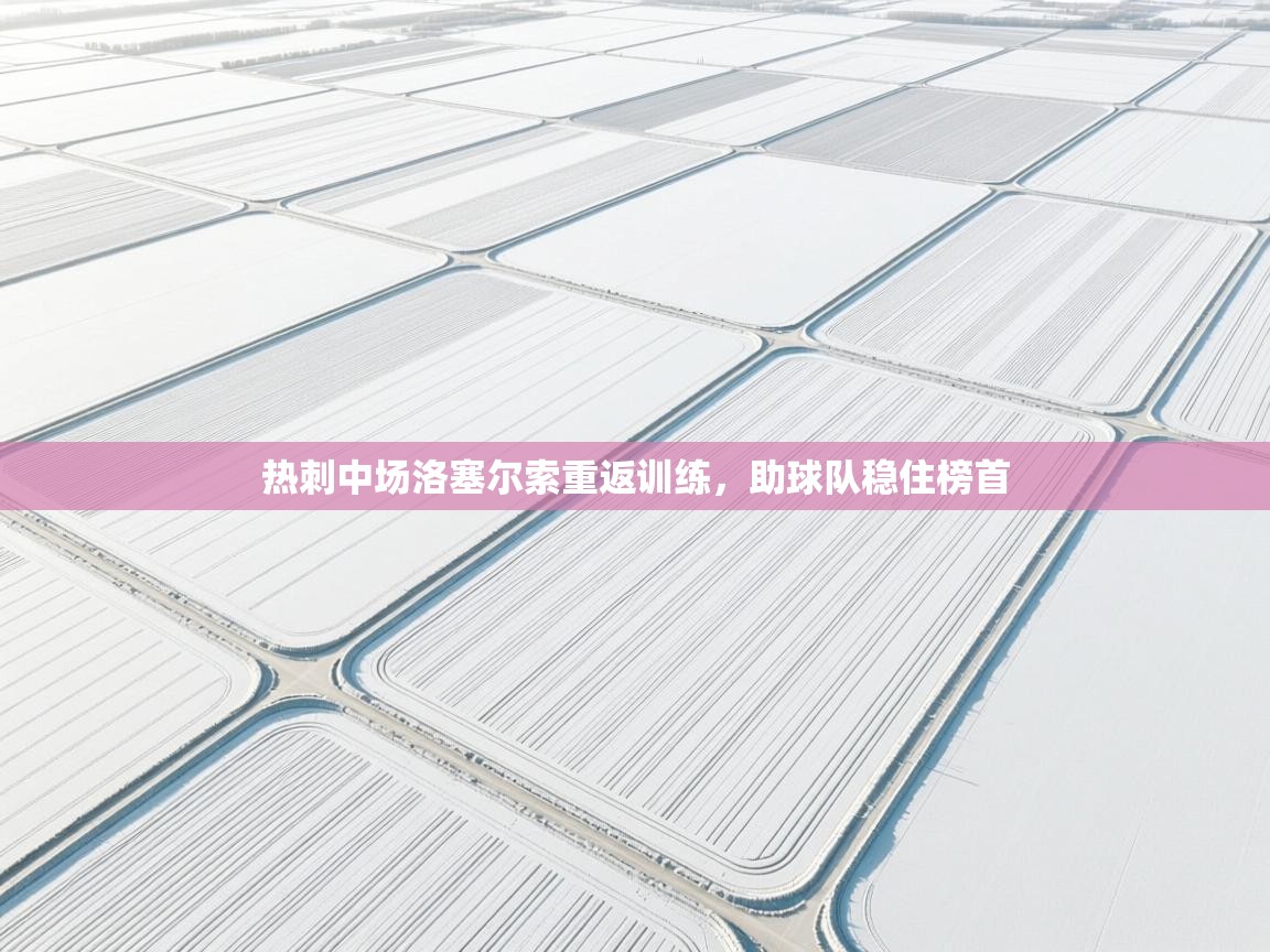 热刺中场洛塞尔索重返训练，助球队稳住榜首  第2张