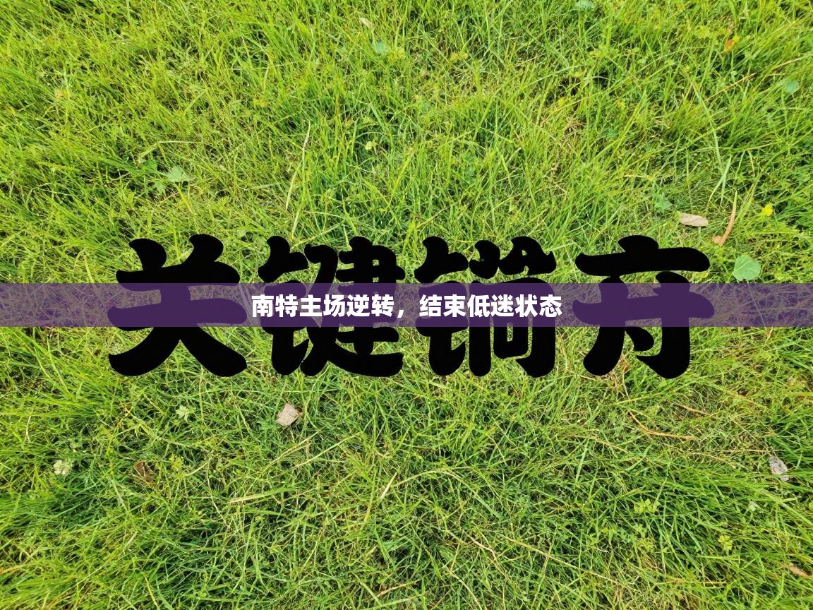 南特主场逆转,结束低迷状态 第1张