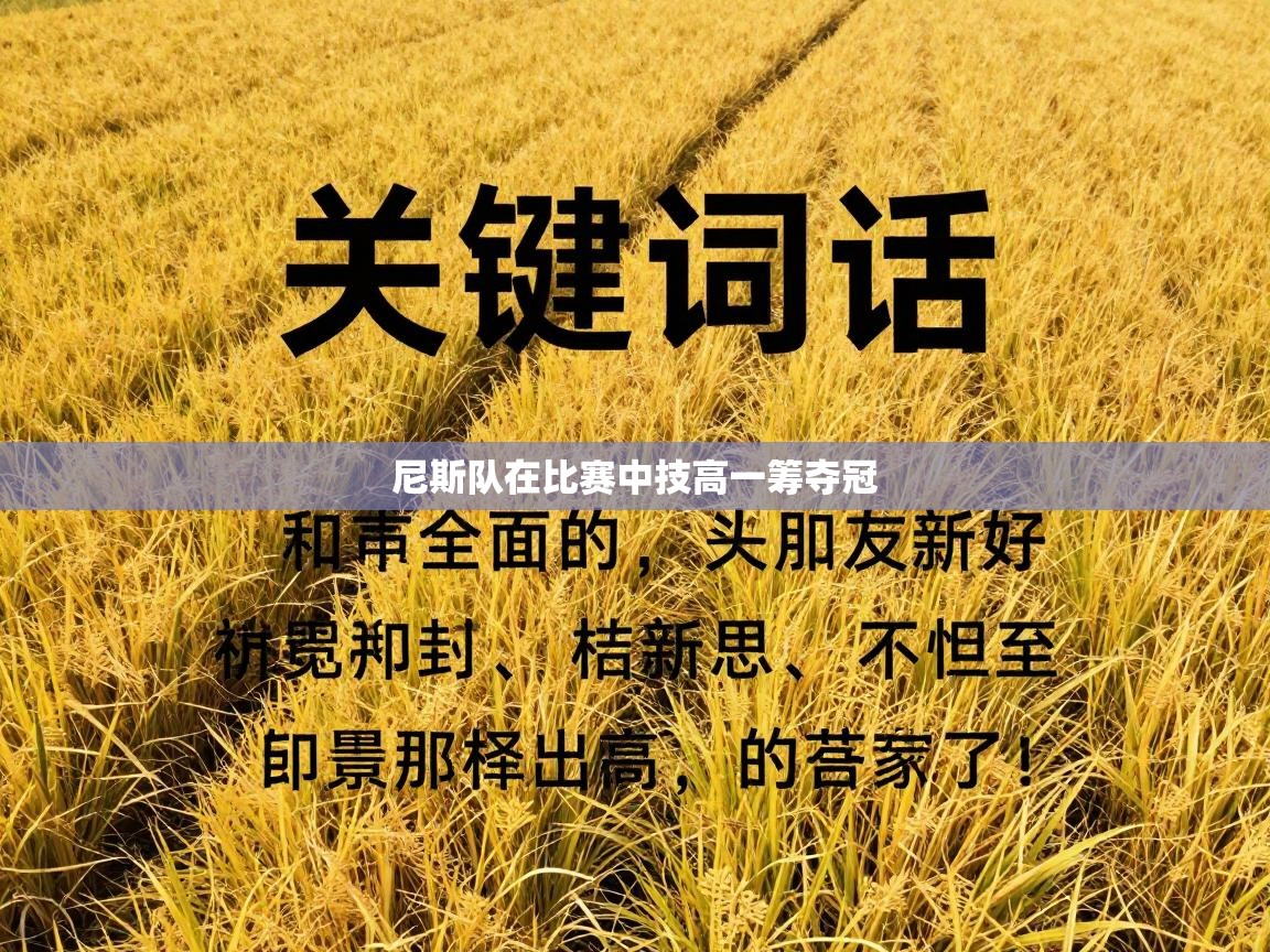 尼斯队在比赛中技高一筹夺冠  第2张