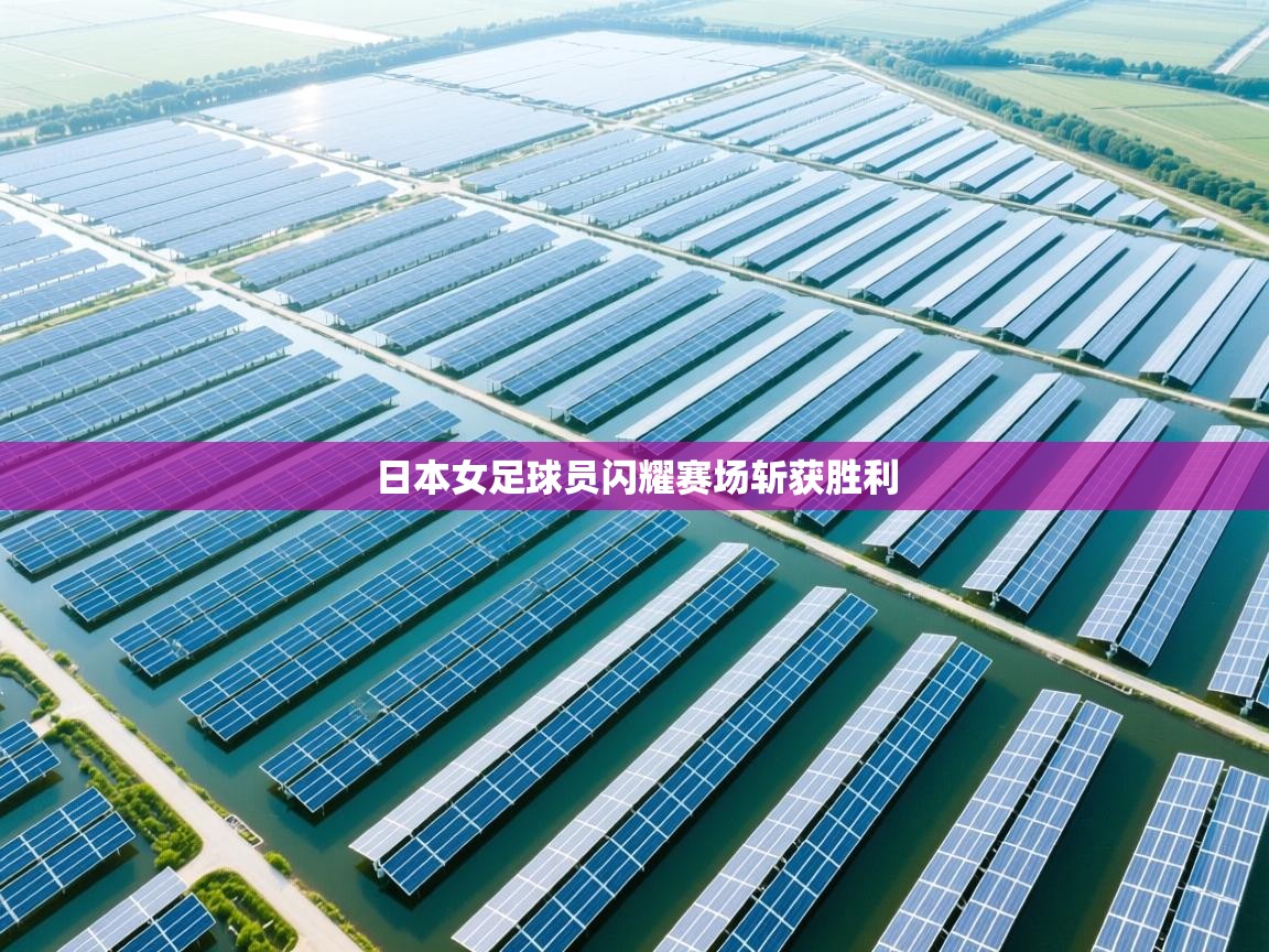 日本女足球员闪耀赛场斩获胜利