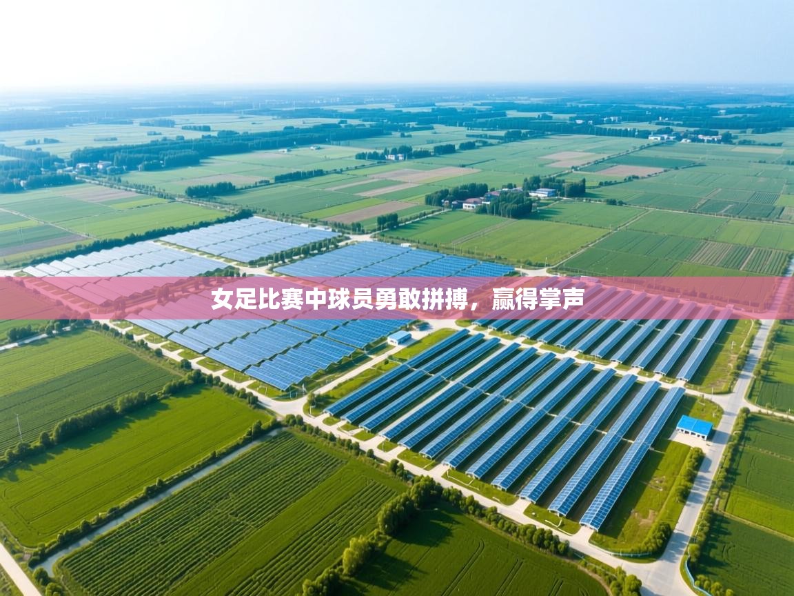 女足比赛中球员勇敢拼搏，赢得掌声  第2张